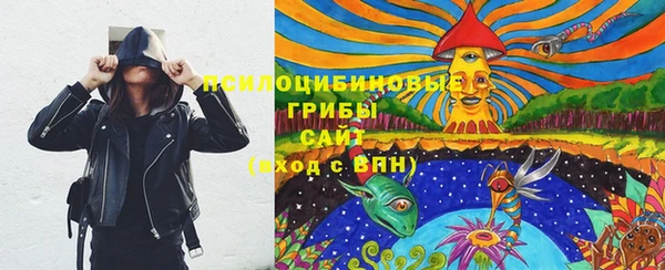 каннабис Корсаков