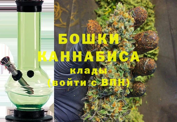 каннабис Корсаков