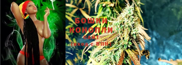 каннабис Корсаков